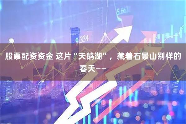 股票配资资金 这片“天鹅湖”，藏着石景山别样的春天——