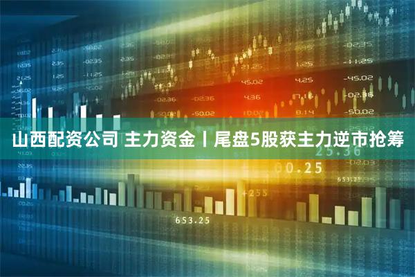山西配资公司 主力资金丨尾盘5股获主力逆市抢筹
