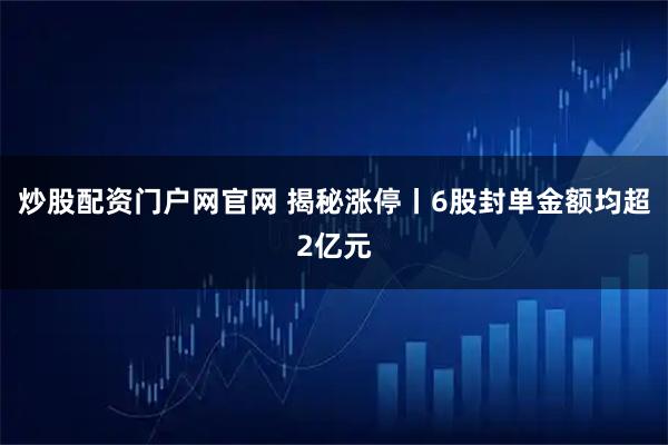 炒股配资门户网官网 揭秘涨停丨6股封单金额均超2亿元